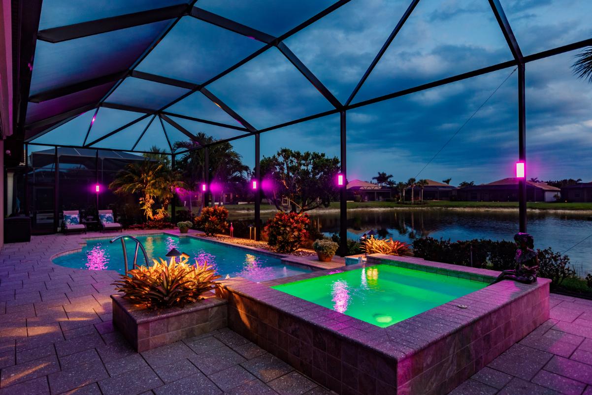 Palm Beach Purple